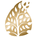 artisansangkor.com logo
