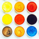 artistcolony.com logo