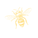 artistryfoundation.org logo