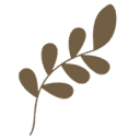 artsyjutsu.com logo