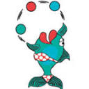 arubaswimwear.com logo