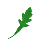 arugulabooks.com logo
