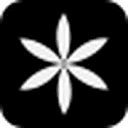 arvexi.com logo