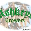 ashkeys.co.uk logo