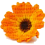 ashlandflorist.com logo
