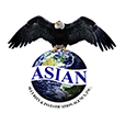 asiansecurityagency.com logo