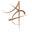 asiatimepiece.com logo