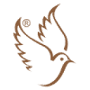 asiyanpastanesi.com logo