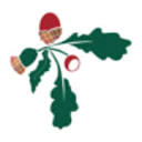 askivalofstrathearn.co.uk logo