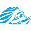 aslannakliyeci.com logo
