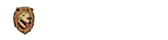 aslansaccessories.com logo