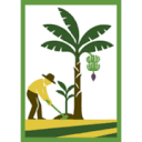 asobanarcoop.com logo