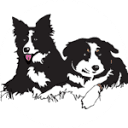 aspenfarmstudios.com logo