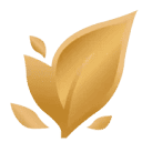 aspenfilms.ca logo