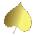 aspenim.com logo