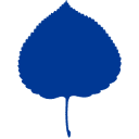 aspeninstitute.jp logo