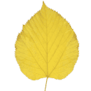 aspenridgemineralpoint.com logo