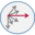 aspredicted.org logo