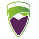 assertivesolution.com logo