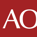 asset-ocean.com logo