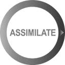 assimilateinc.cn logo