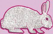 astrexrabbits.com logo