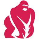 asymmetricstrategypartners.com logo