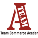 ateamacademy.in logo