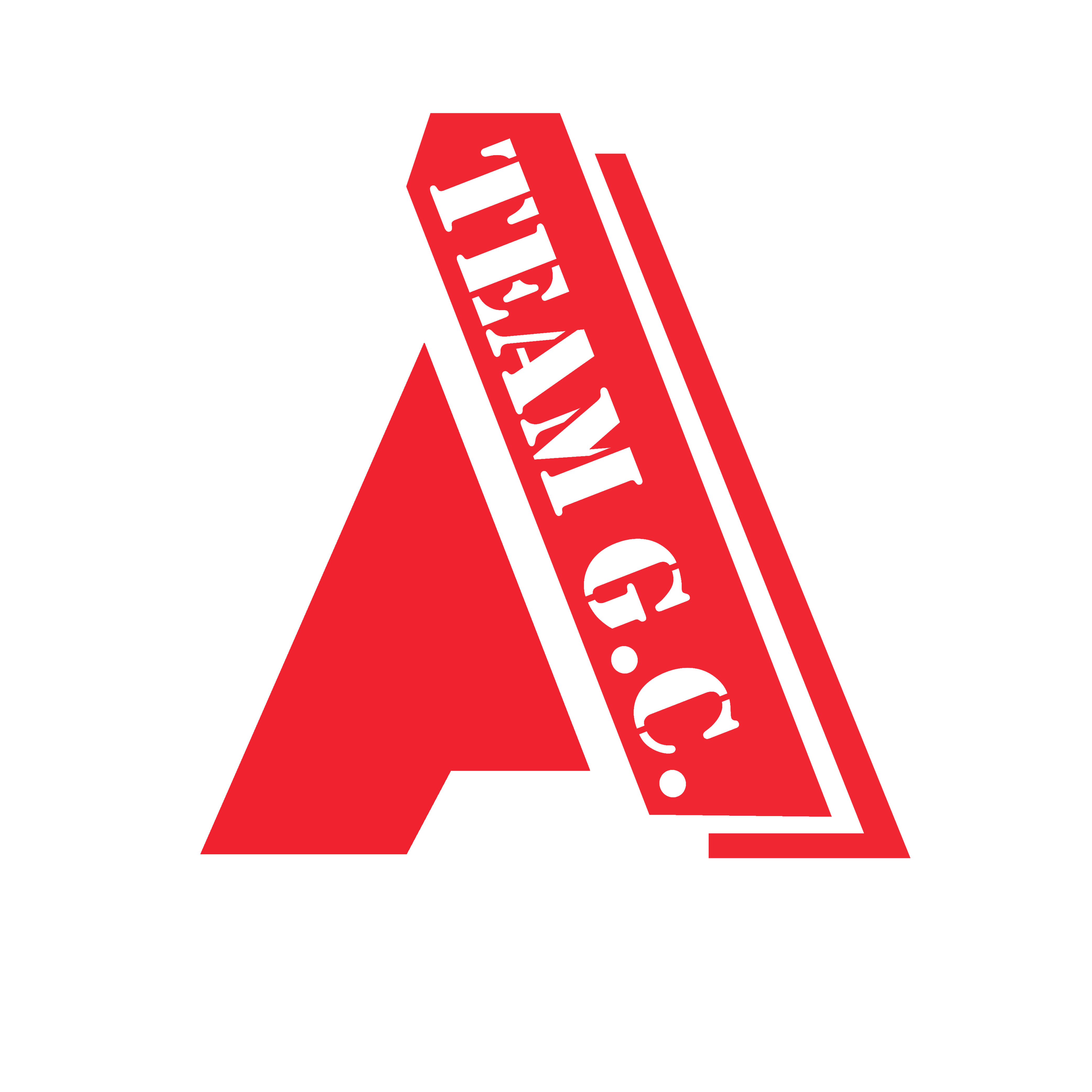 ateamgc.org logo