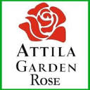 attilagardenrose.hu logo