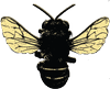atucun.com logo
