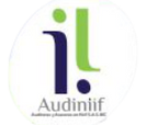 audiniif.com logo