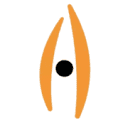 audiparbrasil.com.br logo