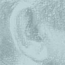 auditoryinsight.com logo