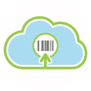 auditpro.io logo