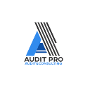 auditprogroup.com logo