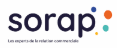 auditsorap.com logo