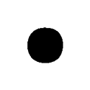audreyngondjel.com logo