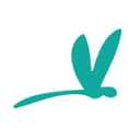 augustineenglishclasses.com logo