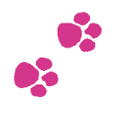 aurelysdoggyhaircare.nl logo