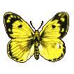 aurooora.com logo
