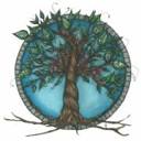 auroratransformationak.com logo