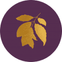 aurosochocolate.com logo