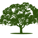 ausbildungsinitiative-forst.de logo