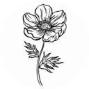 authenticallyme.ca logo