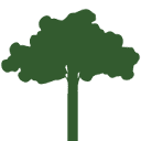 authenticoutdoors.net logo