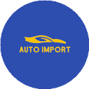 auto-import.net logo