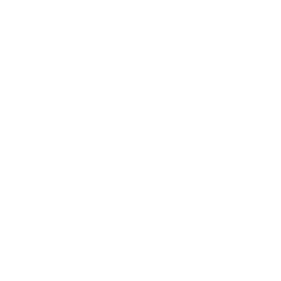 auto-sabinas.com.mx logo