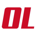 automotoorsini.it logo
