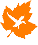 autumnwings.com logo